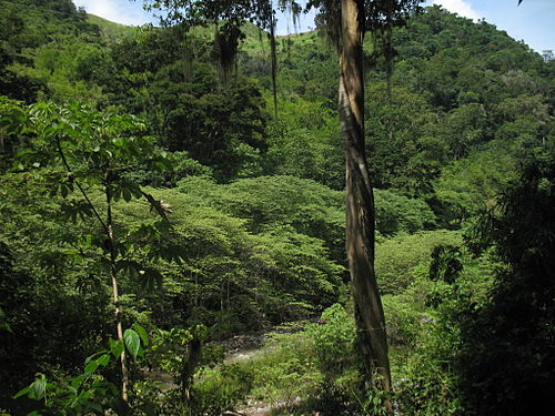 Sierra de Agalta National Park